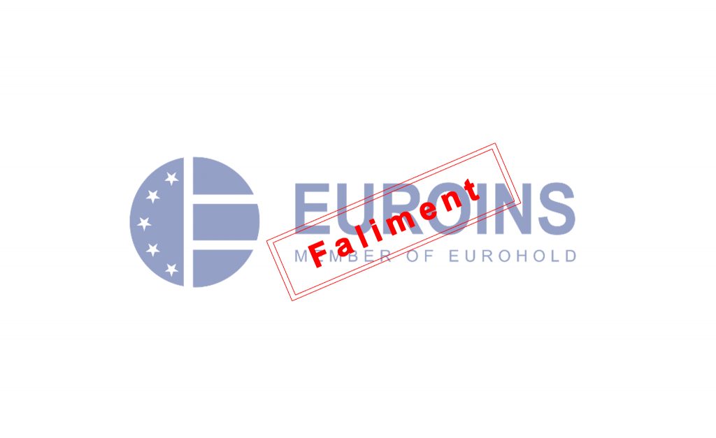 Tot ce trebuie sa stii despre Euroins: actualizare 04.12.2023