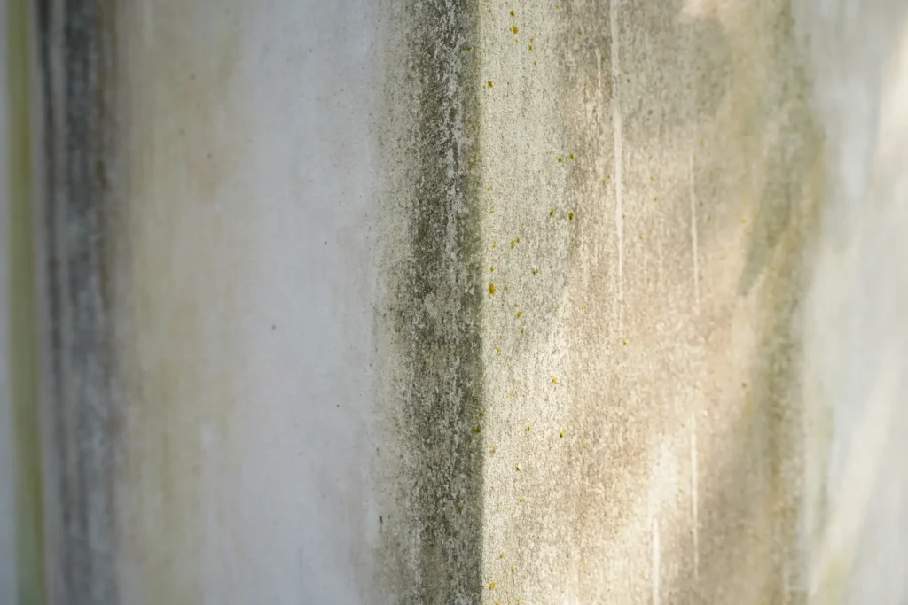 infiltratii de apa in pereti